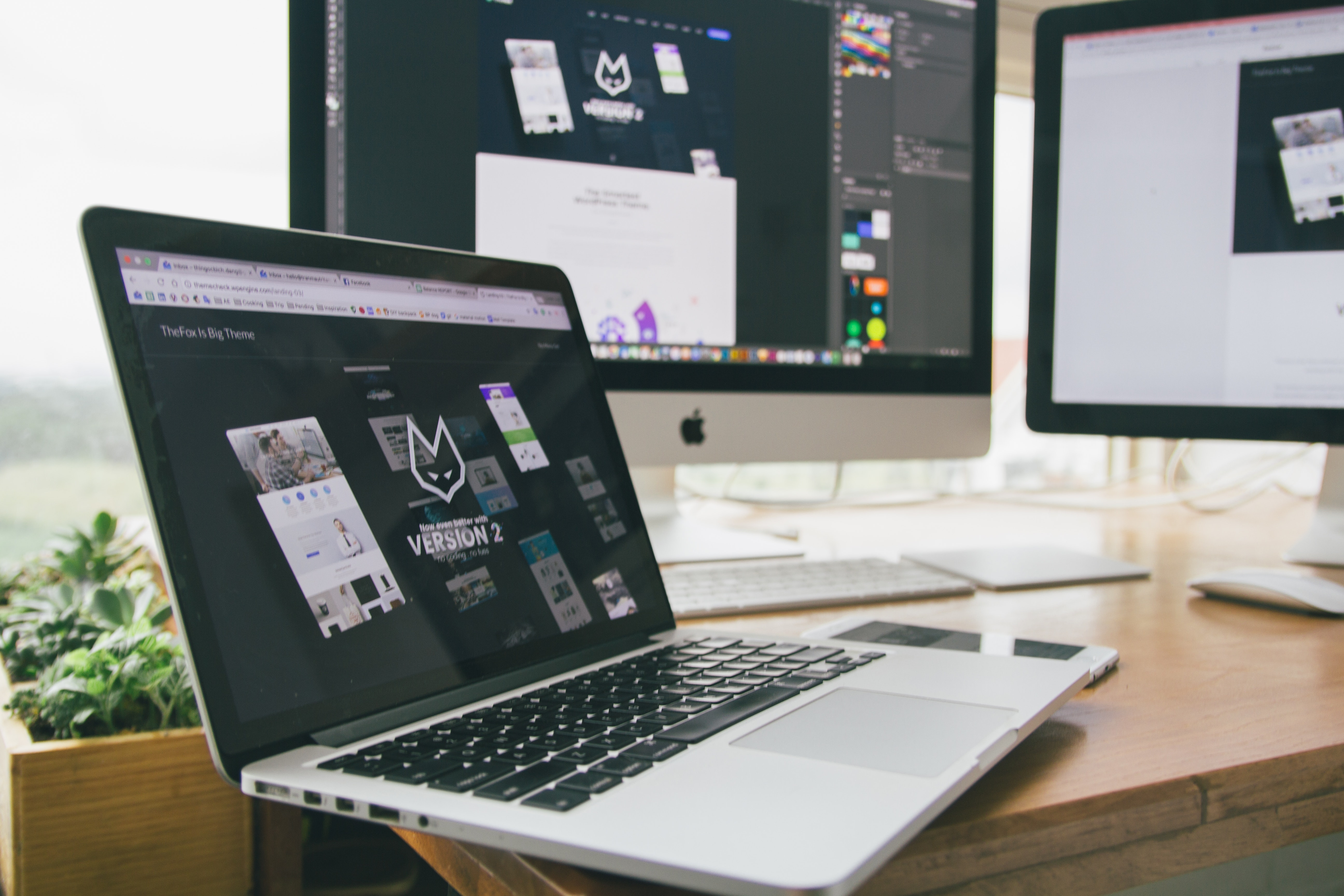 web Development